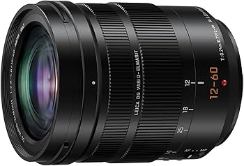 Amazon.com : Panasonic LUMIX Professional 12-60mm Camera Lens