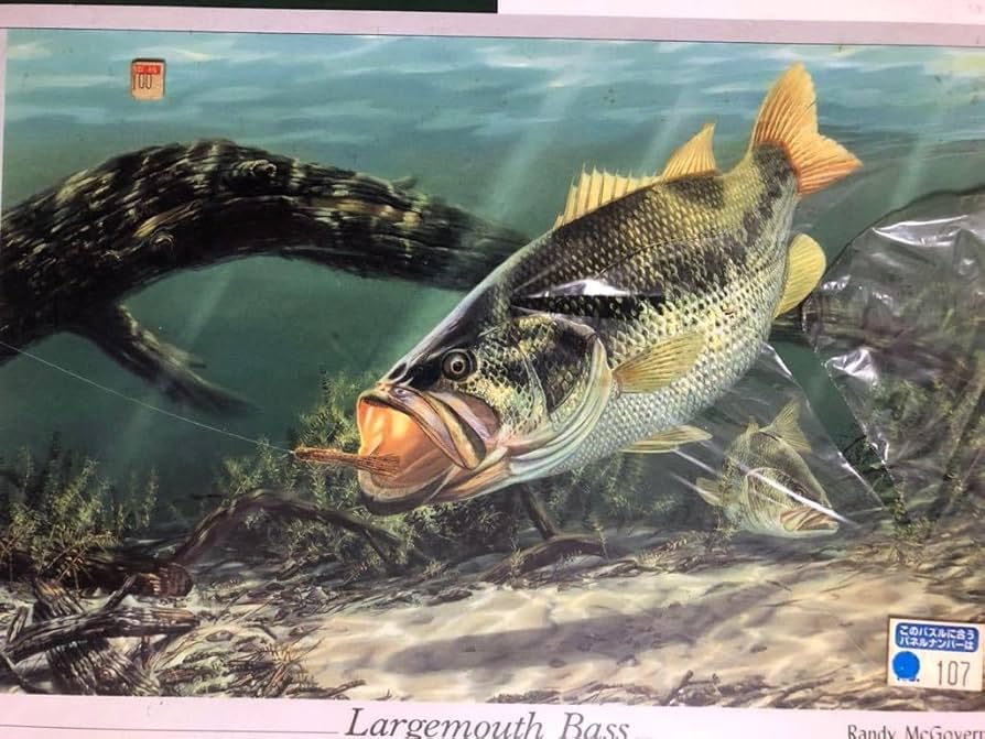 Amazon | ブラックバス black bass ジグソーパズル 1000ピース Randy