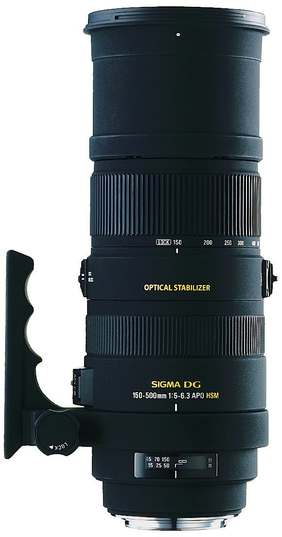 Amazon | シグマ(Sigma) SIGMA 超望遠ズームレンズ APO 150-500mm F5