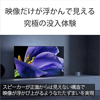 Amazon.co.jp: ソニー 55V型 有機EL テレビ ブラビア KJ-55A9G 4K