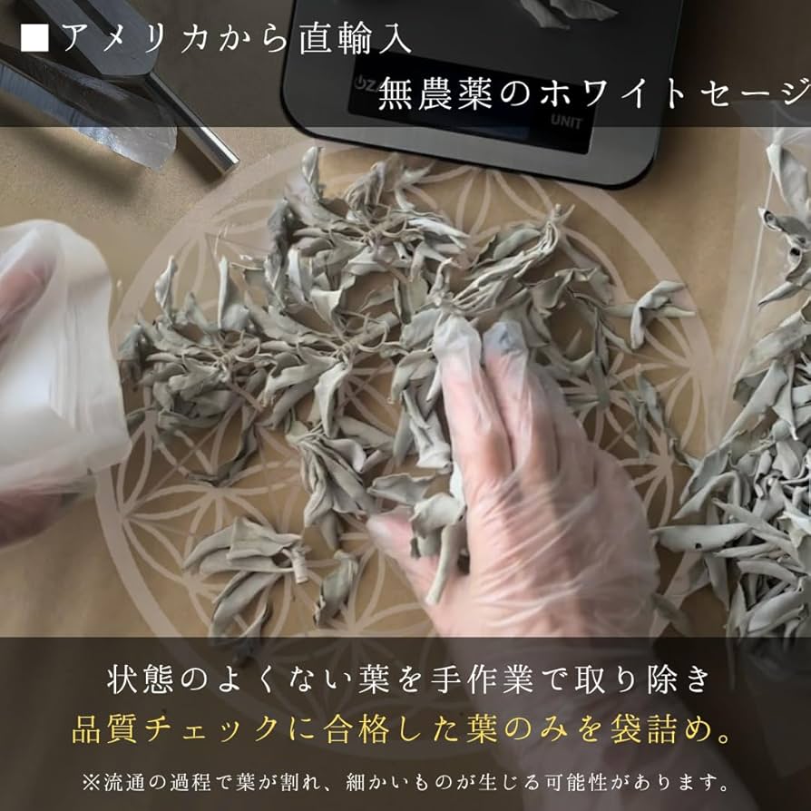 61wYnA5tIJL._AC_UF894,