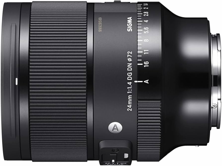 Amazon.com : 24mm F1.4 Art DG DN for Sony E Mount : Electronics