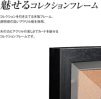 Amazon.co.jp: ホゴダス コレクション フレーム PSA マグネット