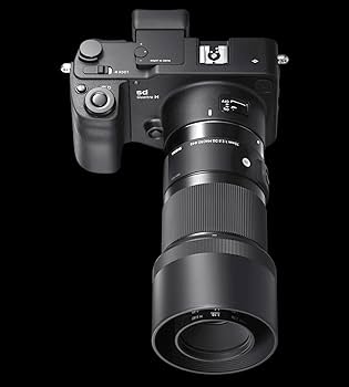 Amazon.com : Sigma 70mm F2.8 Art DG Macro for L Mount : Electronics