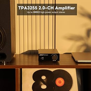 Amazon.com: AIYIMA A07 Premium TPA3255 Power Amplifier 300Wx2 HiFi