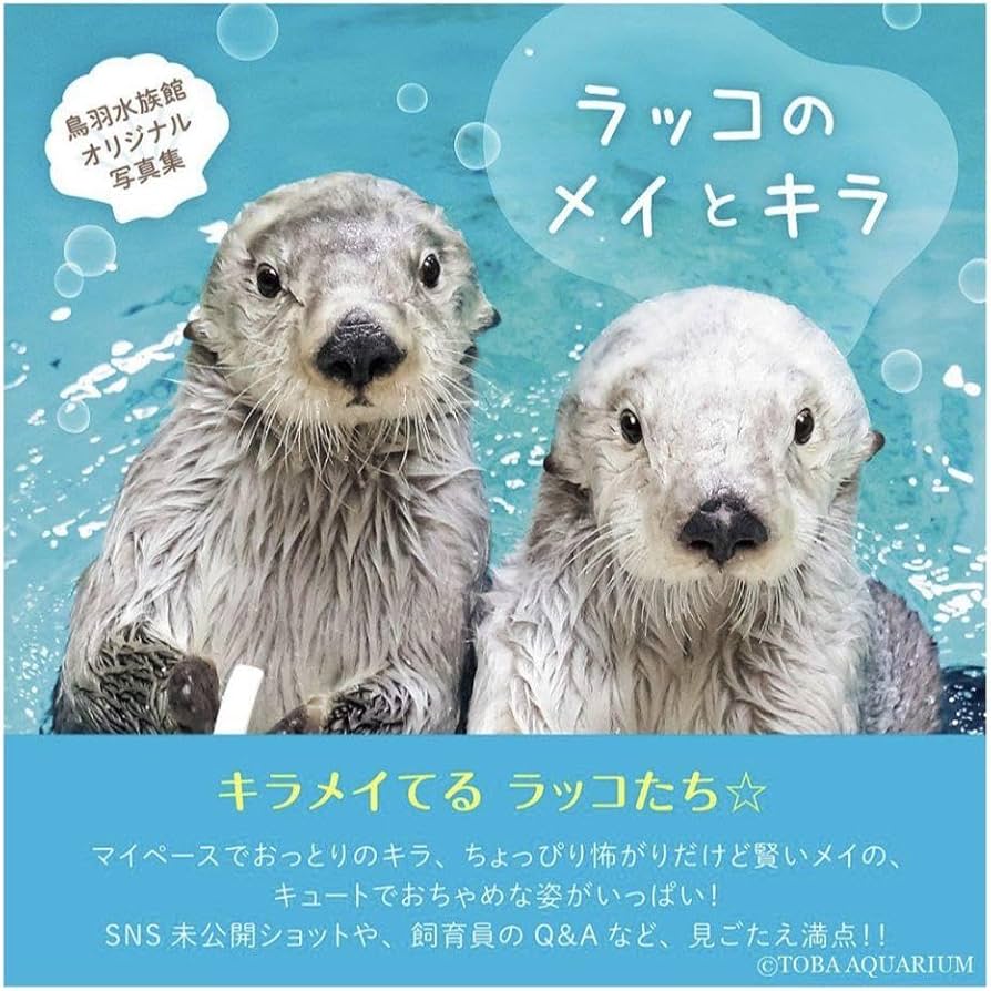 Amazon.co.jp: 鳥羽水族館 らっこ ラッコ 写真集 ラッコのメイとキラ
