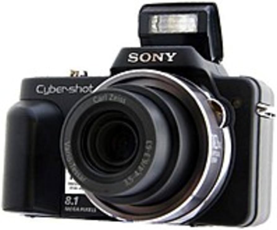 Amazon.com : Sony Cyber-shot DSC-H3 8.1 MP Digital Camera with 10x