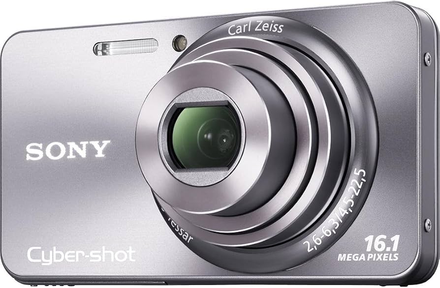 Amazon.com : Sony Cyber-Shot DSC-W570 16.1 MP Digital Still Camera