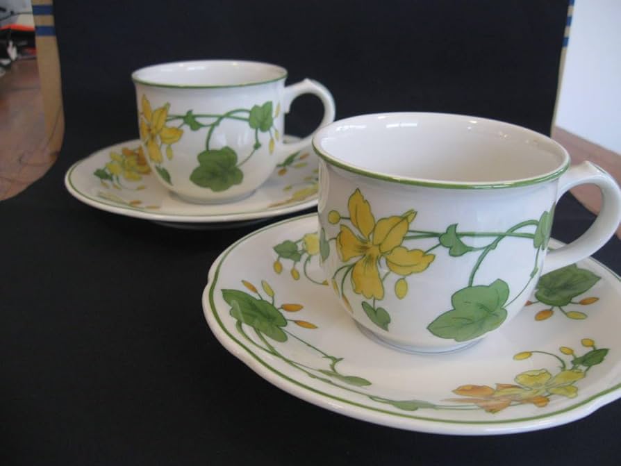 Amazon.co.jp: ビレロイ&ボッホ「ゼラニウム 」カップ＆ソーサー 2客