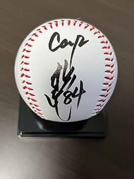 61LfPjWTT1L._AC_UF350,