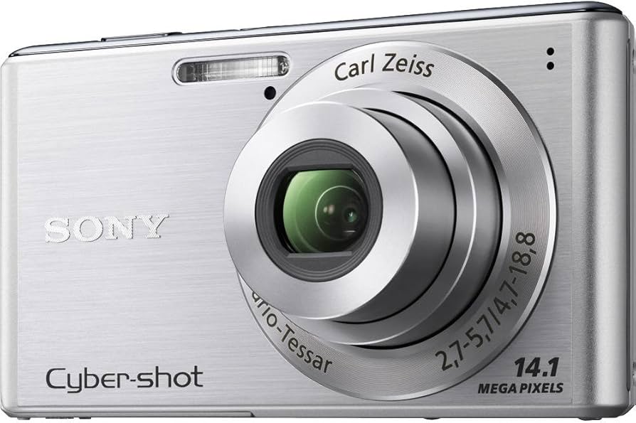 Amazon.com : Sony Cyber-Shot DSC-W530 14.1 MP Digital Still Camera