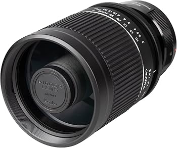 Amazon.co.jp: Kenko 望遠レンズ ミラーレンズ 400mm F8 NIIS ソニーE