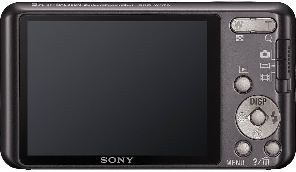 Sony Cyber-Shot DSC-W570 16.1 MP Digital Still Camera with Carl
