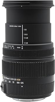 Amazon.com : Sigma 18-125mm F3.8-5.6 DC HSM Lens (67mm Filter