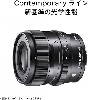 Amazon.co.jp: シグマ(Sigma) レンズ 65mm F2 DG DN Sony ソニー E