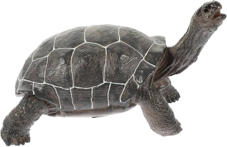 Amazon.co.jp: EXCEART 亀 フィギュア カメ 置物 動物 アクセサリー
