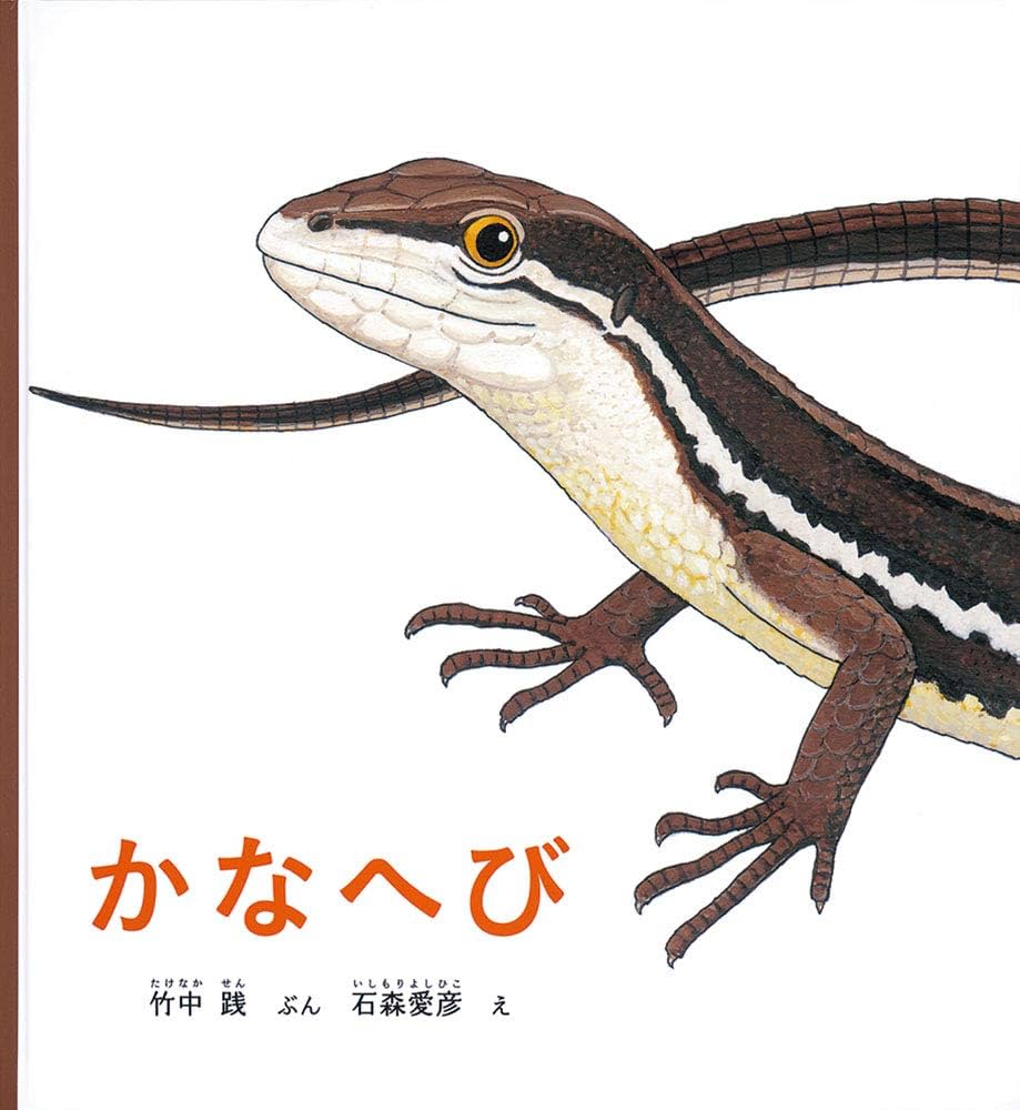 Amazon.co.jp: かなへび (かがくのとも絵本) : 竹中 践, 石森 愛彦: 本