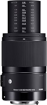 Amazon.com : Sigma 271965 70mm F2.8 Art DG Macro for Sony E, Black