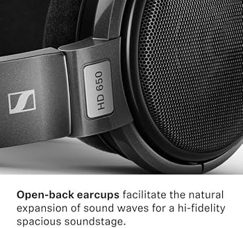 Amazon.com: Sennheiser Consumer Audio HD 650 - Audiophile Hi-Res