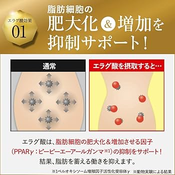 Amazon.co.jp: 【Official】Kumi Koda Fully Produced KILLER BURNER 2