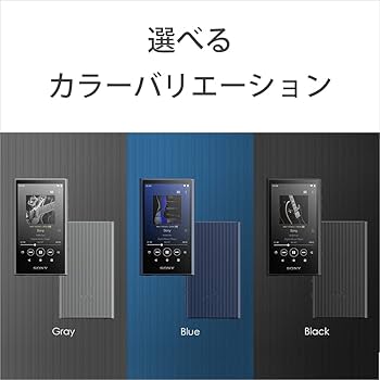 Amazon.co.jp: ソニー(SONY) ウォークマン 32GB A300シリーズ NW-A306