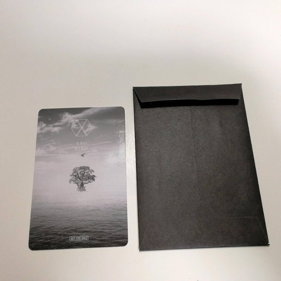 Amazon.co.jp: EXO Bird FC限定盤 セフン トレカ SEHUN : おもちゃ