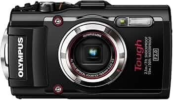 61dFf7KwYnL._AC_UF350,