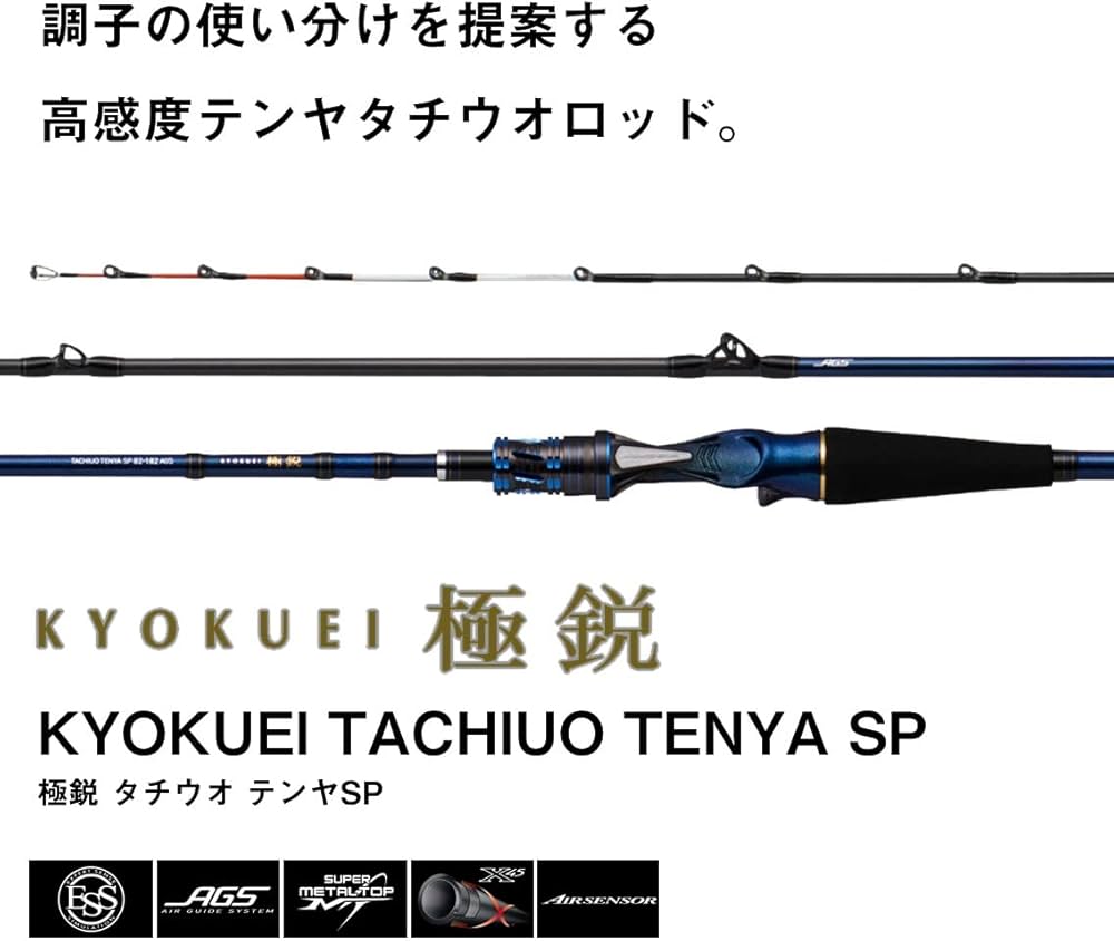 Amazon | ダイワ(DAIWA) 船竿 極鋭タチウオテンヤ SP91H-165AGS ブルー