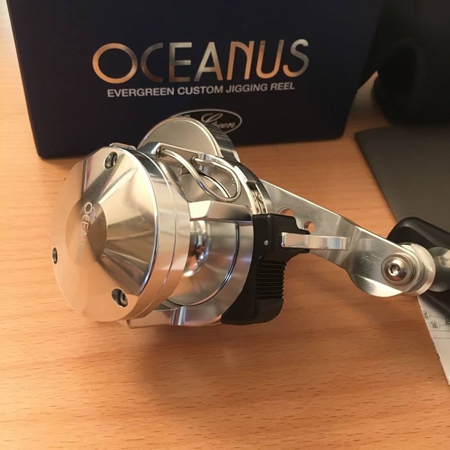 Amazon.co.jp: ／ ／オケアノス／エバーグリーン／OCEANUS／EVER GREEN