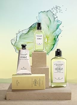 Amazon.co.jp: ロクシタン(L'OCCITANE) セドラ オードトワレ 50mL 香水