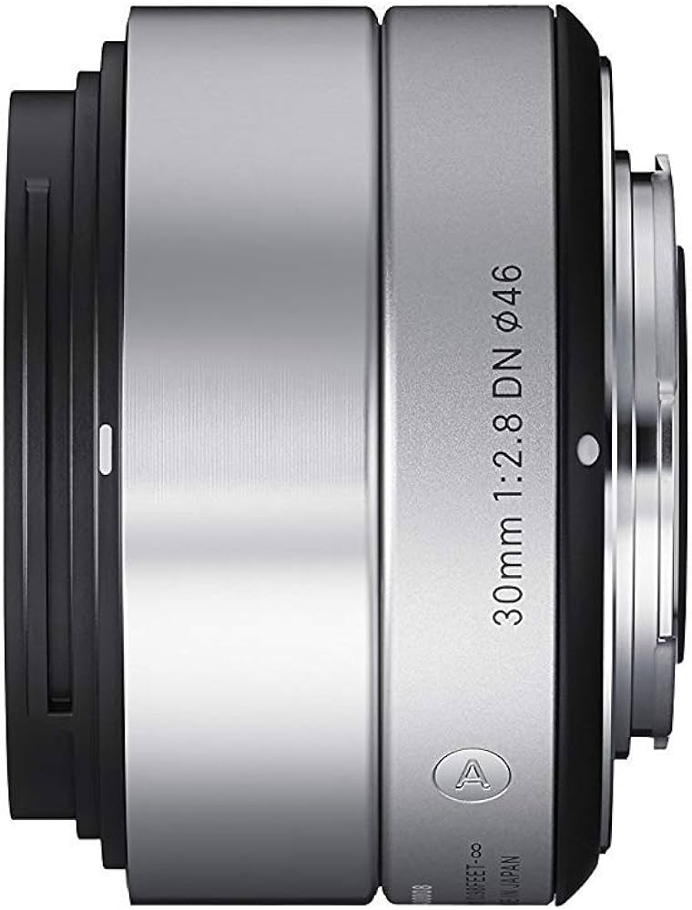 Sigma 30mm f2.8 DN Lens Silver (Sony E) : Amazon.ca: Electronics
