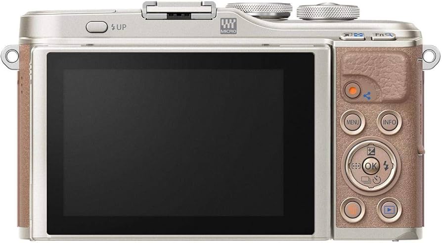 Amazon.com : OM SYSTEM Olympus Pen E-PL10 Brown : Electronics