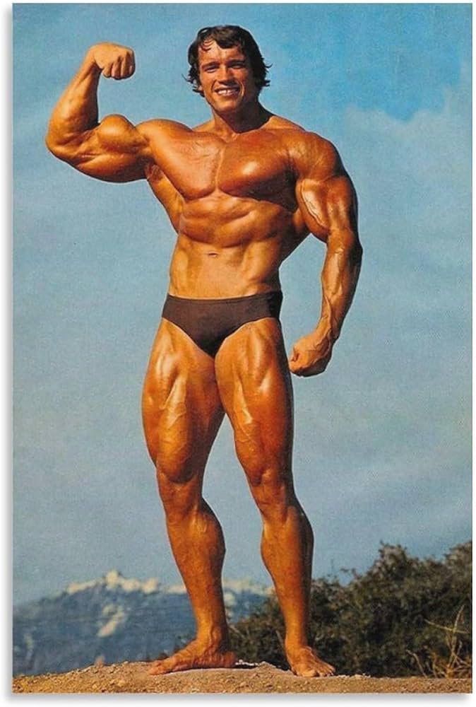 Amazon.co.jp: アーノルドシュワルツェネッガーボディービルデコアート