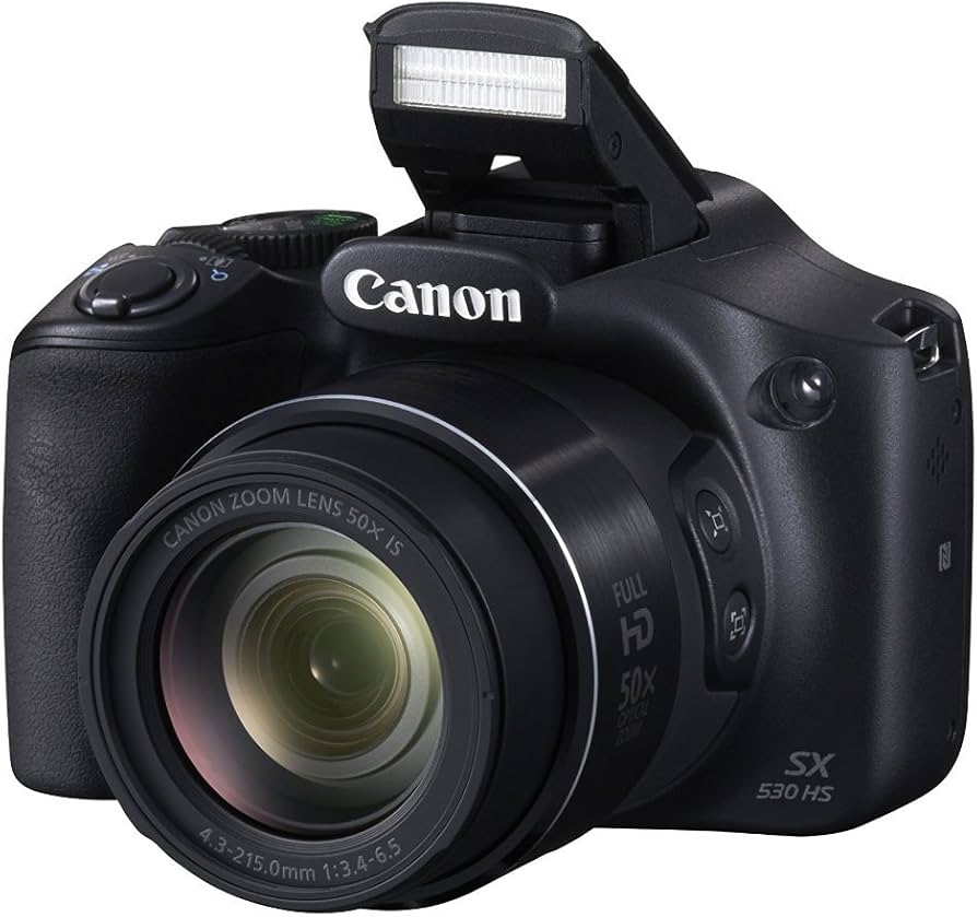 Amazon Canada: Canon PowerShot SX530 HS Digital Camera - Black