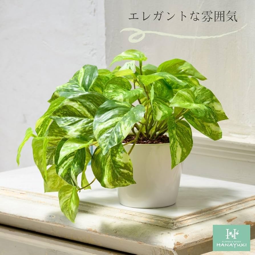 Amazon｜HANAYUKI フェイクグリーン マーブルポトス 卓上サイズ 23cm