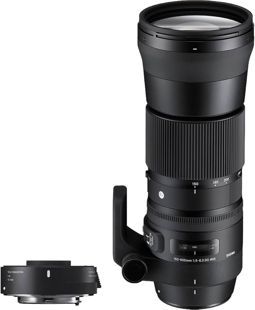 Amazon.com : Sigma 150-600mm F5-6.3 Contemporary DG OS HSM & TC