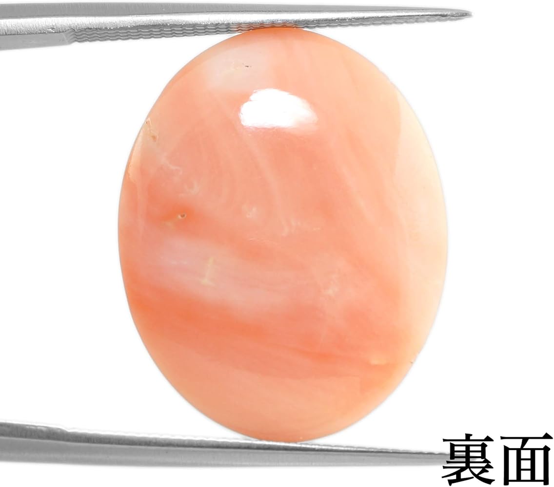 Amazon | 【鑑別付】天然桃珊瑚 13.998ct 日本産 コーラル ルース 原石