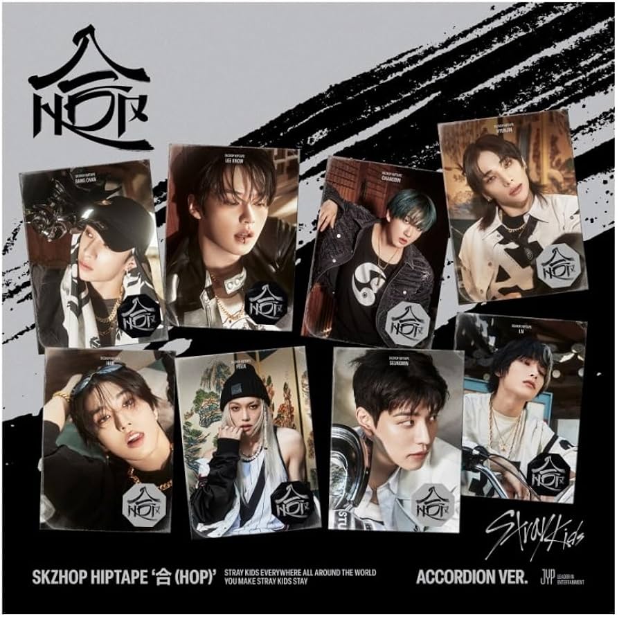 Amazon.com: Stray-Kids - SKZHOP HIPTAPE HOP Accordion version CD+