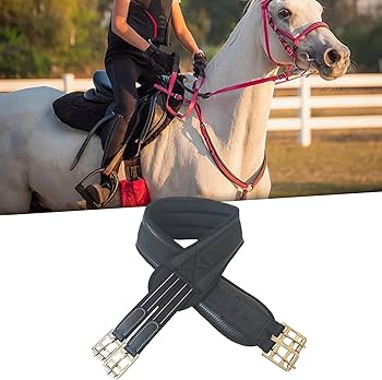 Amazon.co.jp: DeeRace 馬場用腹帯 腹帯 乗馬 馬用サドルシンチ ホース