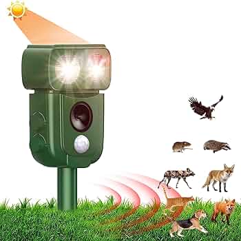 715z-w1JKhL._AC_UF350,