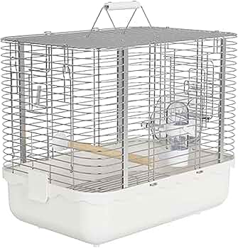 717MFZI5bBL._AC_UF350,