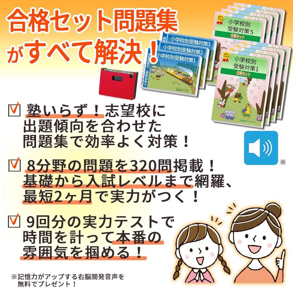 入学試験問題集 仁川学院小学校 71-9kPKuZDL._AC_UF1000,