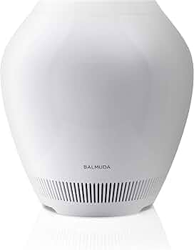 71-BJnIqODL._AC_UF350,