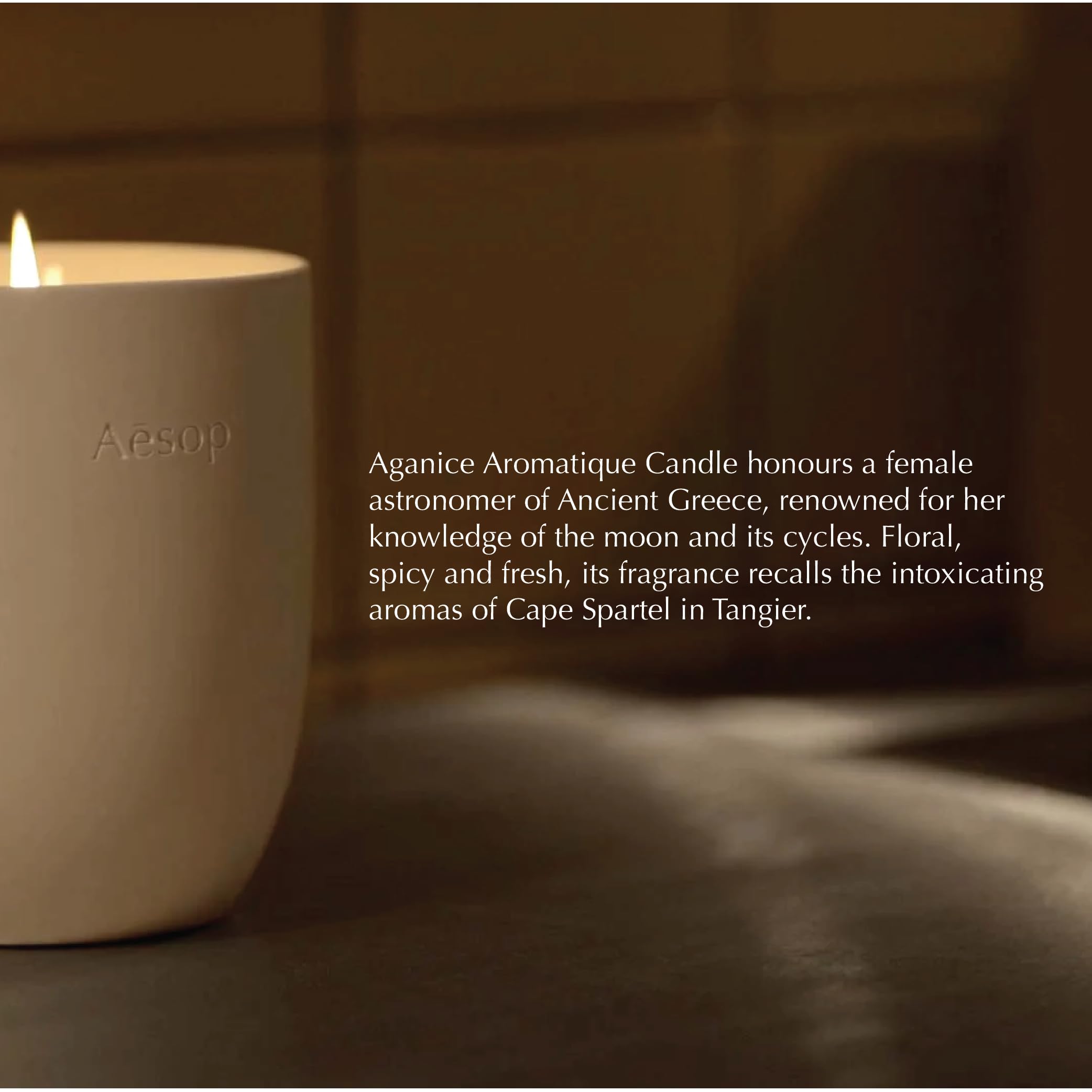 Amazon.co.jp: Aesop イソップ プトレミー アロマティック キャンドル