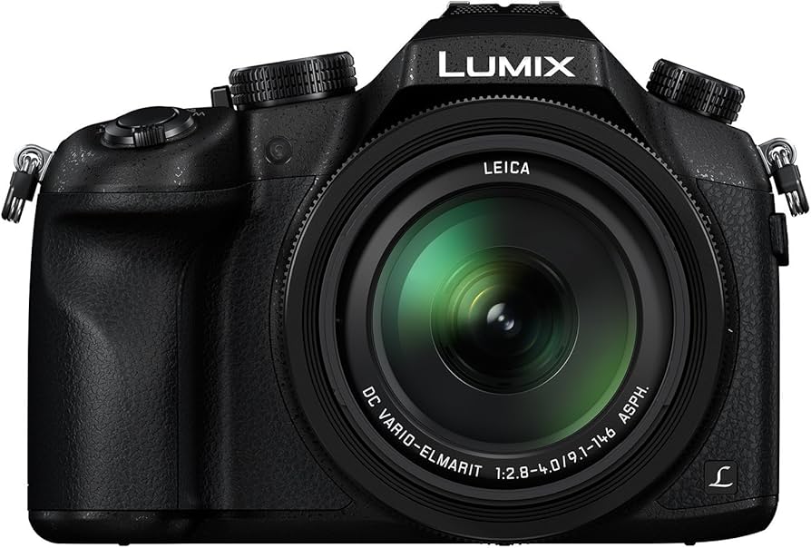 Amazon.com : Panasonic LUMIX DMC-FZ1000 20.1MP 4K Point and Shoot