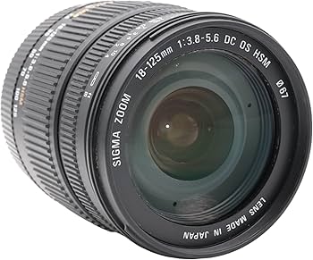 Amazon.com : Sigma 18-125mm f/3.5-5.6 AF DC OS HSM Zoom Lens for