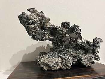 71xy6hAU4wL._AC_UF350,