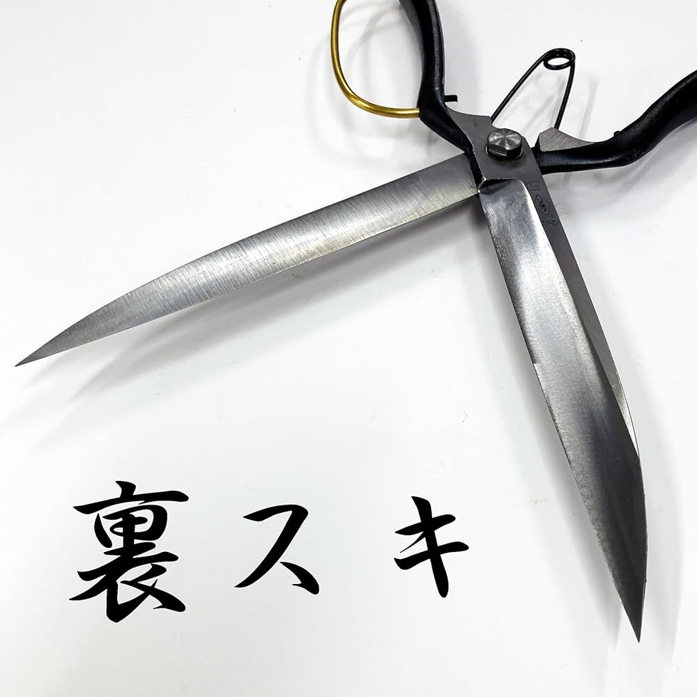 71BiKDoY6hL._AC_UF1000,