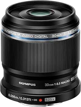 71CGJqCMXGL._AC_UF350,