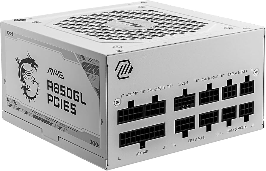 Amazon.com: MAG A850GL PCIE5 White : Electronics